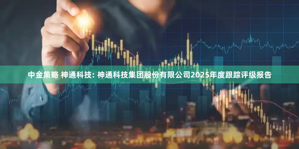 中金策略 神通科技: 神通科技集团股份有限公司2025年度跟踪评级报告