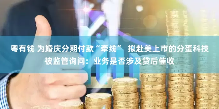 粤有钱 为婚庆分期付款“牵线”  拟赴美上市的分蛋科技被监管询问：业务是否涉及贷后催收