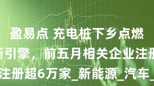 盈易点 充电桩下乡点燃绿色旅游新引擎，前五月相关企业注册超6万家_新能源_汽车_售后服务